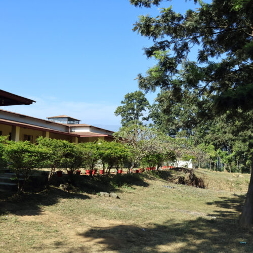IMG_8239 copy (1)